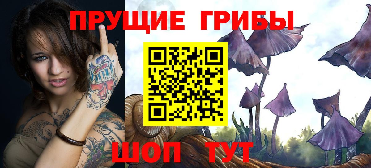 Галлюциногенные грибы MAGIC MUSHROOMS  Вход с VPN  Иркутск  Псилоцибиновые грибы мухоморы 